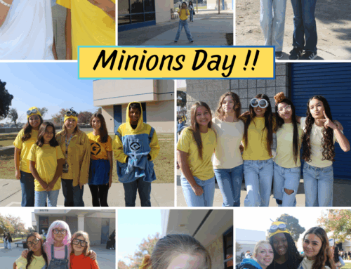 Minion Day !!